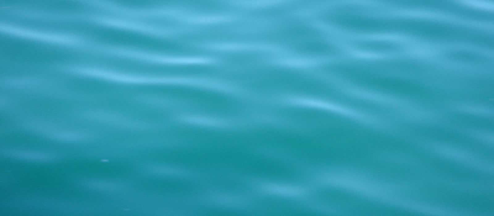 Attersee Yoga - Yoga & Gesicht
